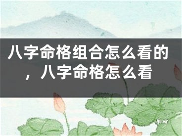 八字命格组合怎么看的，八字命格怎么看