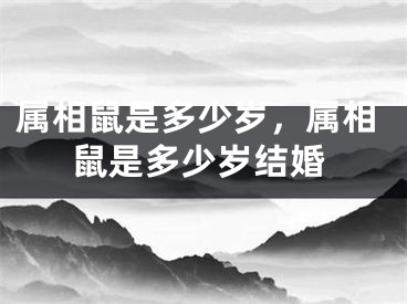 属相鼠是多少岁,属相鼠是多少岁结婚