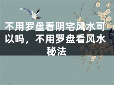 不用罗盘看阴宅风水可以吗,不用罗盘看风水秘法