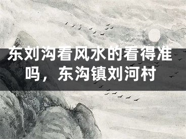 东刘沟看风水的看得准吗，东沟镇刘河村