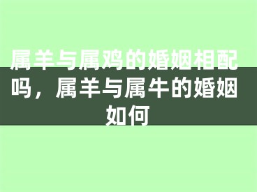 属羊与属鸡的婚姻相配吗,属羊与属牛的婚姻如何