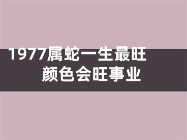 1977属蛇一生最旺颜色会旺事业