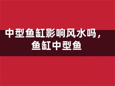中型鱼缸影响风水吗，鱼缸中型鱼