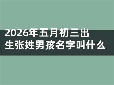 2026年五月初三出生张姓男孩名字叫什么