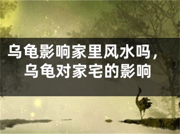 乌龟影响家里风水吗,乌龟对家宅的影响