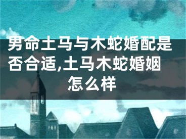 男命土马与木蛇婚配是否合适,土马木蛇婚姻怎么样