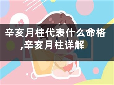 辛亥月柱代表什么命格,辛亥月柱详解