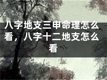 八字地支三申命理怎么看，八字十二地支怎么看