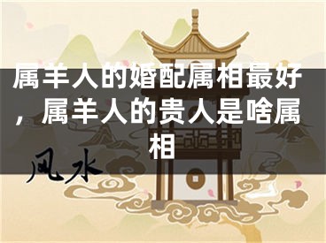 属羊人的婚配属相最好,属羊人的贵人是啥属相