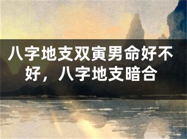八字地支双寅男命好不好，八字地支暗合