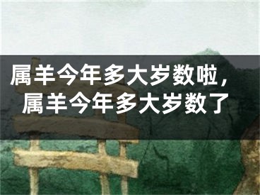 属羊今年多大岁数啦,属羊今年多大岁数了