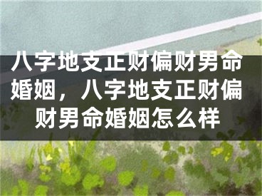 八字地支正财偏财男命婚姻,八字地支正财偏财男命婚姻怎么样