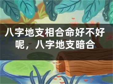 八字地支相合命好不好呢,八字地支暗合