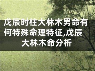 戊辰时柱大林木男命有何特殊命理特征,戊辰大林木命分析