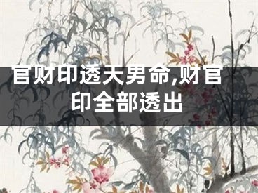 官财印透天男命,财官印全部透出