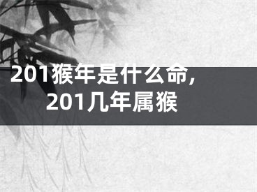 201猴年是什么命,201几年属猴