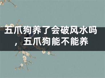 五爪狗养了会破风水吗，五爪狗能不能养