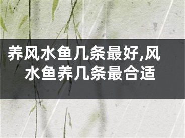 养风水鱼几条最好,风水鱼养几条最合适