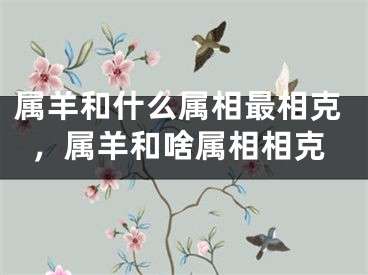 属羊和什么属相最相克,属羊和啥属相相克