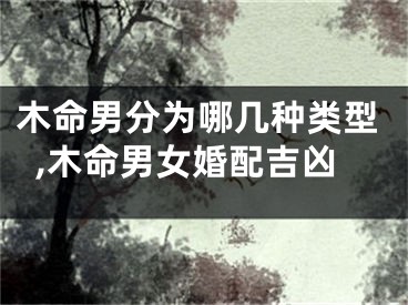 木命男分为哪几种类型,木命男女婚配吉凶