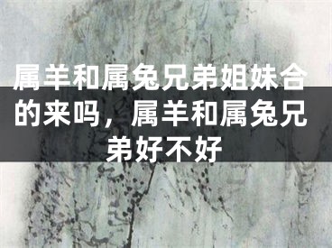 属羊和属兔兄弟姐妹合的来吗，属羊和属兔兄弟好不好