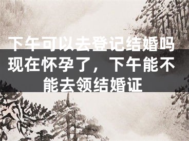 下午可以去登记结婚吗现在怀孕了,下午能不能去领结婚证