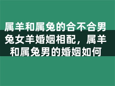 属羊和属兔的合不合男兔女羊婚姻相配,属羊和属兔男的婚姻如何