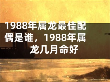 1988年属龙最佳配偶是谁，1988年属龙几月命好
