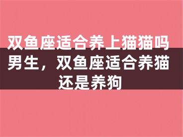 双鱼座适合养上猫猫吗男生，双鱼座适合养猫还是养狗