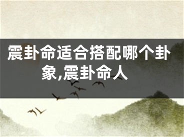 震卦命适合搭配哪个卦象,震卦命人
