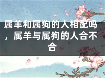 属羊和属狗的人相配吗,属羊与属狗的人合不合