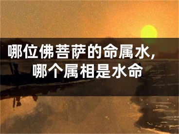 哪位佛菩萨的命属水,哪个属相是水命