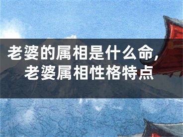 老婆的属相是什么命,老婆属相性格特点