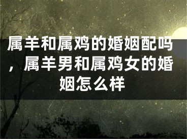 属羊和属鸡的婚姻配吗,属羊男和属鸡女的婚姻怎么样