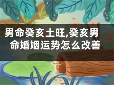 男命癸亥土旺,癸亥男命婚姻运势怎么改善