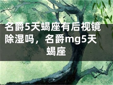 名爵5天蝎座有后视镜除湿吗,名爵mg5天蝎座