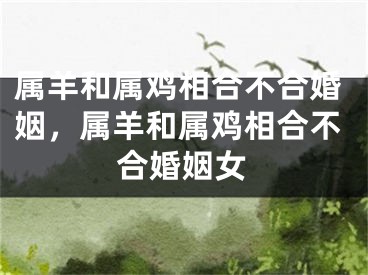 属羊和属鸡相合不合婚姻,属羊和属鸡相合不合婚姻女