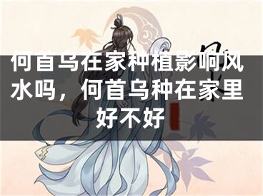 何首乌在家种植影响风水吗，何首乌种在家里好不好
