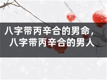 八字带丙辛合的男命,八字带丙辛合的男人