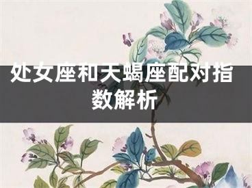 处女座和天蝎座配对指数解析