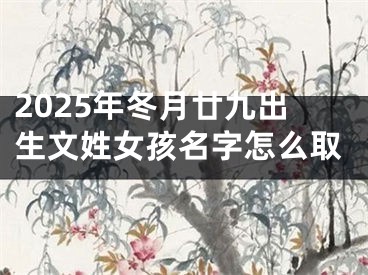 2025年冬月廿九出生文姓女孩名字怎么取