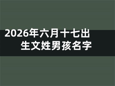 2026年六月十七出生文姓男孩名字
