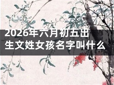 2026年六月初五出生文姓女孩名字叫什么
