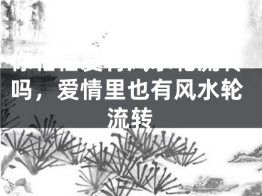 你相信爱有风水轮流转吗,爱情里也有风水轮流转