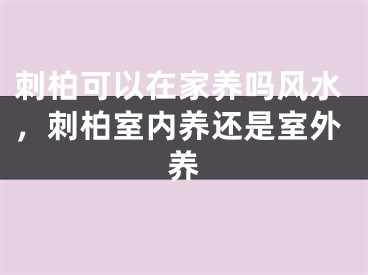 刺柏可以在家养吗风水，刺柏室内养还是室外养