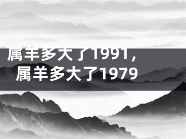 属羊多大了1991，属羊多大了1979