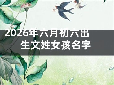 2026年六月初六出生文姓女孩名字
