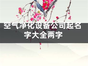 空气净化设备公司起名字大全两字