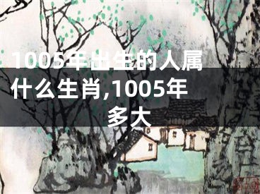 1005年出生的人属什么生肖,1005年多大