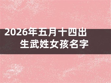 2026年五月十四出生武姓女孩名字